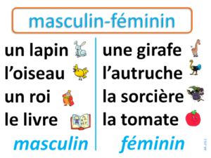 Françando: Difficultés du français: le genre des noms